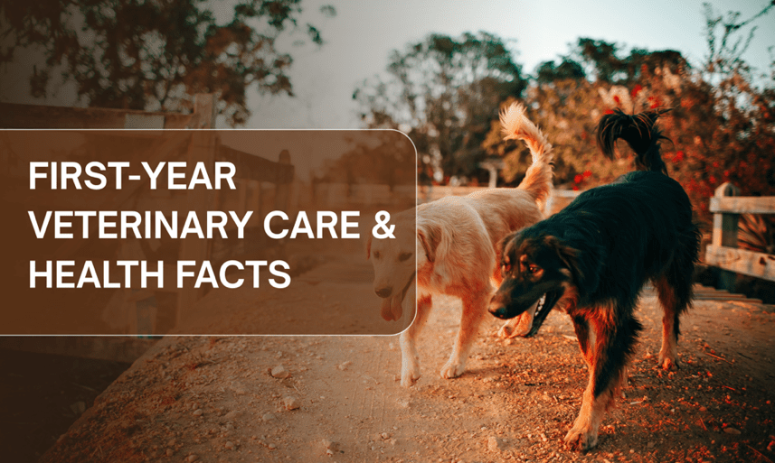 Ultimate FirstYear Plan Wellness Checklist for New Dog and Cat Owner — free download