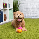 Godog Silent Squeaker Ball Dog Toy 2pk
