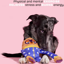BARK Slow Jams Dan Crinkly Tube Squeaky Plush Dog Toy