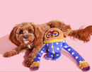 BARK Slow Jams Dan Crinkly Tube Squeaky Plush Dog Toy