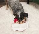$3 OFF! BARK Kris Krumble Plush Dog Toy for Large & XLarge Dogs