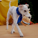 BARK Plush More Smores Dog Toy