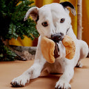 BARK Plush More Smores Dog Toy