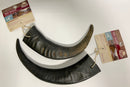 WILD EATS Water Buffalo Horn: Medium, Large, XLarge Dogs