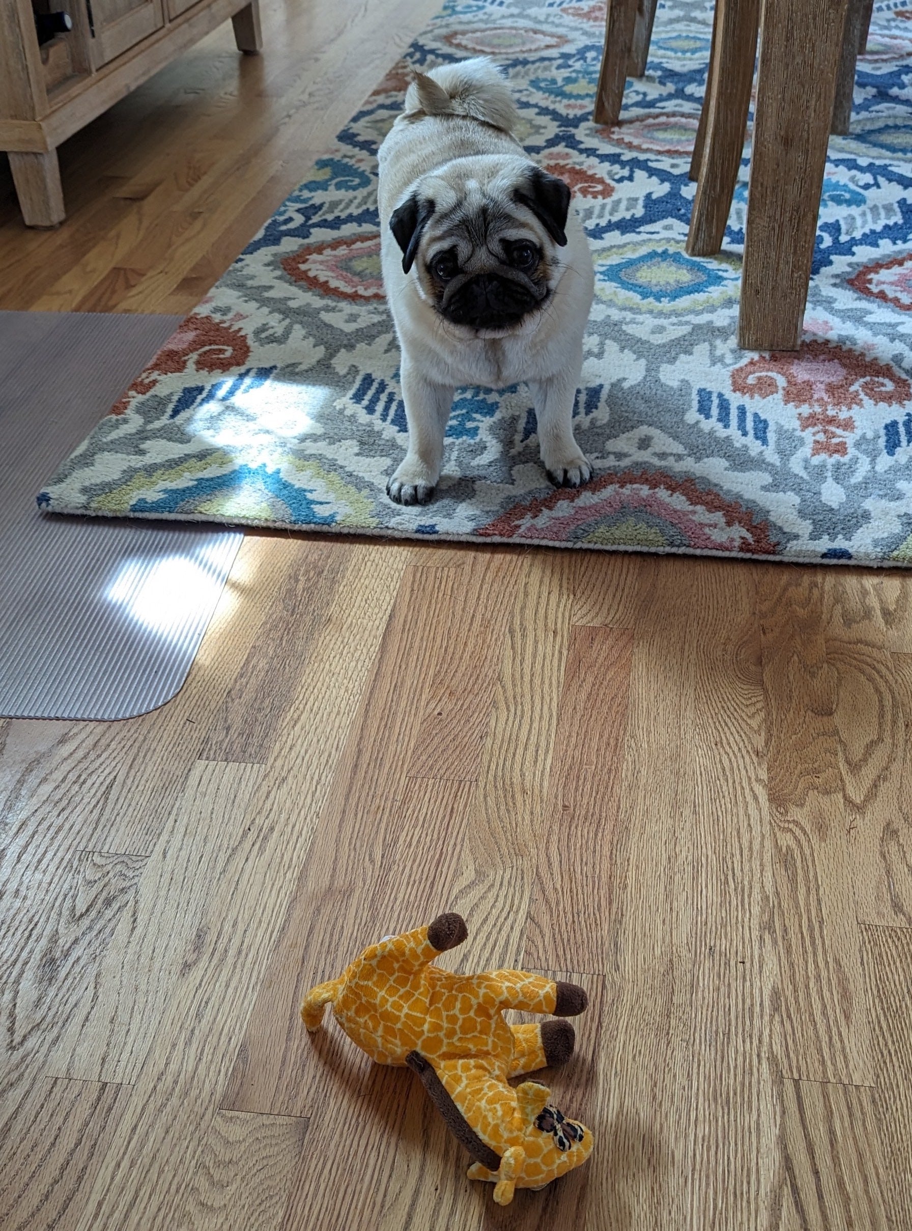 Blaster Baby Lightly-Stuffed Dog Toy with Big SQUEAKER / Beanie Babies with No Beans!