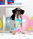 BARK The Party Farter Crinkle Plush Dog Toy
