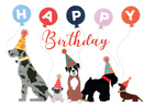 25% OFF! Birthday Stuffed & Squeaky Toys for Dogs & Puppies