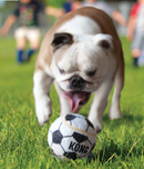 30% OFF! KONG Sport Balls Dog Fetch Toys Medium 3 Pack
