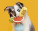 NEW! BARK Bulldog Barkarita Squeaky & Crinkly Dog Toy