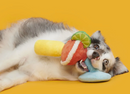 NEW! BARK Bulldog Barkarita Squeaky & Crinkly Dog Toy