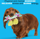 10% OFF! BARK Moe the Mosaic Crab Squeaky & Soft Crinkle Dog Toy for Tiny & Small Dogs