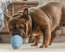 NEW! Harry Barker Premium Durable Rubber Treater Toy: 3 Sizes