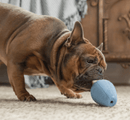 NEW! Harry Barker Premium Durable Rubber Treater Toy: 3 Sizes