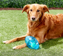 $1 OFF! KONG Jumbler Football Dog Toy / CHEAPER THAN CHEWY