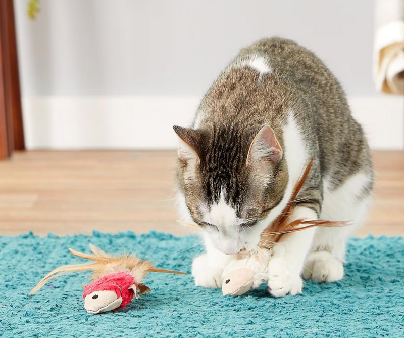 $1 OFF! KONG Naturals Crinkle Fish Eco-Friendly Cat Toy