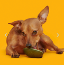 BARK Avocadoggo Super Chewer Dog Toy