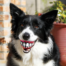 $1 OFF! KONG Rogz Grinz Treat Ball Dog Toy, Pick Your Color / CHEAPER THAN CHEWY