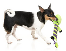 $2 OFF! FuzzYard Bone Affleck Rope & Squeaky Skeleton Dog Toy
