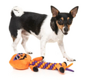 SAVE $2! FuzzYard Gourdan Ramsay Rope & Squeaky Skeleton Dog Toy