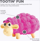 Outward Hound Tootiez Sheep Squeaky Grunting Stuffing-Free Natural Latex Dog Toy CHEAPER THAN CHEWY