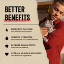 Vital Essentials Minnows Grain-Free Freeze-Dried Raw Cat Treats