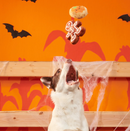 10% OFF! BARK Spookie Cookies Plush Dog Toy Squeak & Crinkle 2 Pack