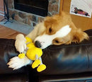 Small Stuffed SQUEAKY Dog & Puppy Toys / 10-30 lbs.