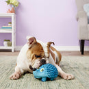 Outward Hound Tootiez Hedgehog Squeaky Grunting Stuffing-Free Natural Latex Dog Toy