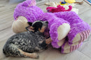 XXLarge Stuffed Dog Toys: 20"+ Squeaky and No Squeak