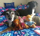 Piglet Stuffed & Squeaky Dog Toys: All Sizes