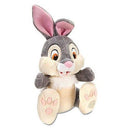 Large Cartoon Character Squeak & NO Squeak Dog Toys: 11"-14"