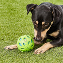 JW Pets Crackle Heads Crackle Ball: 3 Sizes, Choose Color