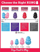 Kong Puppy Dog Toy: 4 Sizes CHEAPER THAN CHEWY!
