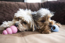 Kong Puppy Dog Toy: 4 Sizes CHEAPER THAN CHEWY!