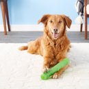 KONG Squeezz Stick Squeaky Dog Toy