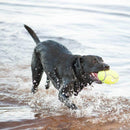 Kong AirDog Squeaker Football: 3 Sizes