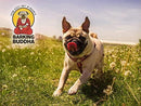Barking Buddha Beef Cheek Chips 1 lb. Value Pack: Original or Peanut Butter
