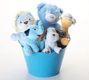 Boy-oh-Boy SQUEAKY Gift Basket for Dogs & Puppies: 3 Sizes