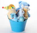 Happy Birthday SQUEAKY Dog & Puppy Plush Toys Gift Basket / Blue Toys