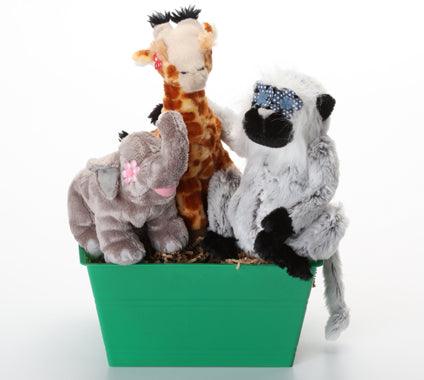 Into the Wild Dog & Puppy Gift Basket: 3 Sizes / Choice of Squeak or Non-Squeak