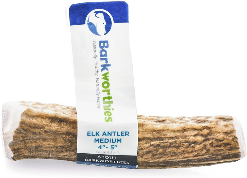 Barkworthies Elk Antlers Dog Treat: Split & Whole, S-XL