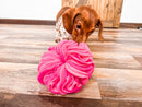 Hound Hugger DIY Donut Snuffle Pattern Kit