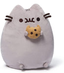 Birthday Stuffed & Squeaky Toys for Dogs & Puppies