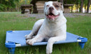 4Legs4Pets Elevated Dog Bed: Custom Design Your Own