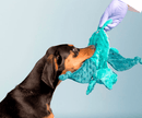 BARK Dingbert the Dragon Squeak & Crinkle Dog Toy