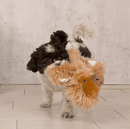 BARK Gordon the Giant Sloth Squeaky Dog Toy