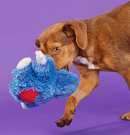 BARK Zeke the Cheeky Monkey Squeaky Dog Toy