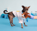 BARK Winston The Wooly Mammouth Squeaky Dog Toy