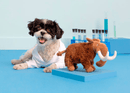 BARK Winston The Wooly Mammouth Squeaky Dog Toy