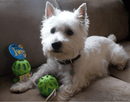 JW Pets Crackle Heads Crackle Ball: 3 Sizes, Choose Color